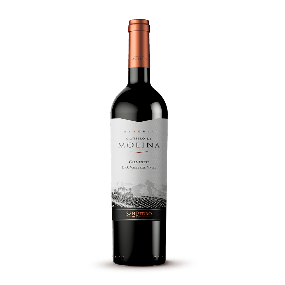 VINO CASTILLO DE MOLINA 750ML CARMENERE