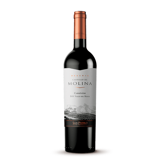 VINO CASTILLO DE MOLINA 750ML CARMENERE