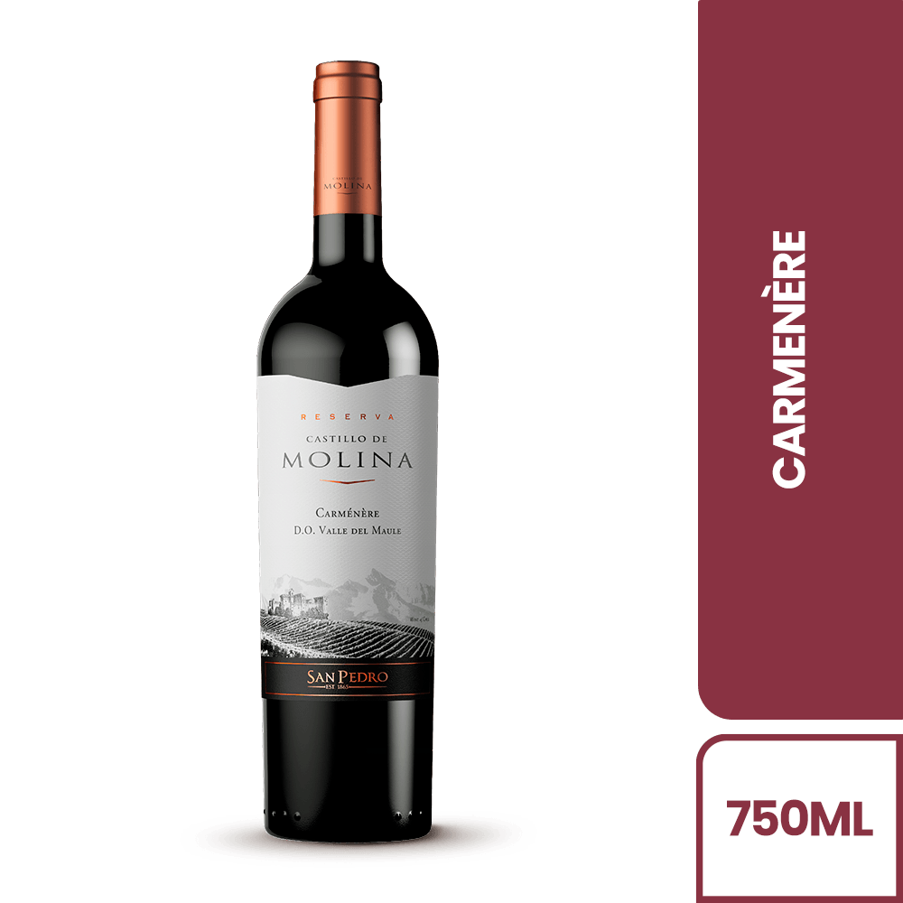VINO CASTILLO DE MOLINA 750ML CARMENERE
