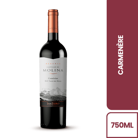 VINO CASTILLO DE MOLINA 750ML CARMENERE