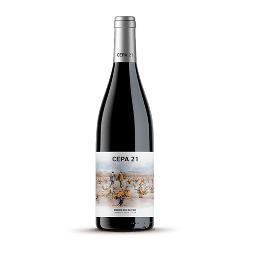 VINO FINO 750ML CEPA 21 TINTO
