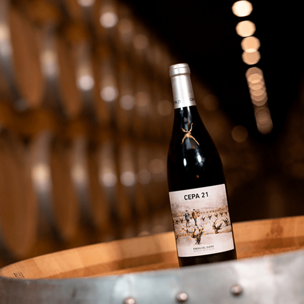 VINO FINO 750ML CEPA 21 TINTO